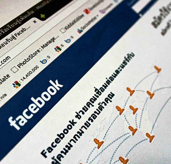 professional online web platform