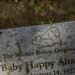 smart efficiency online platform