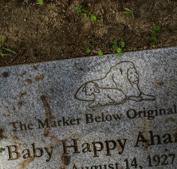 smart efficiency online platform