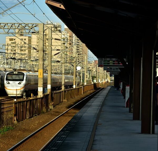 creative digital hub online network