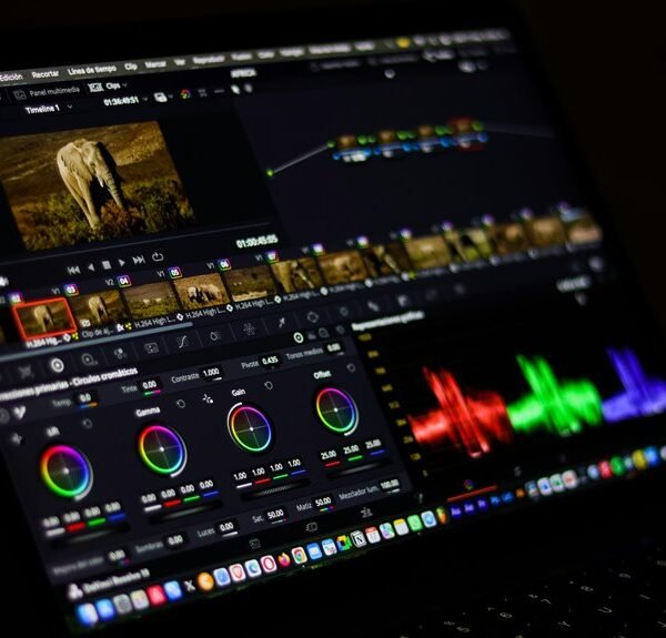 creative digital suite platform name