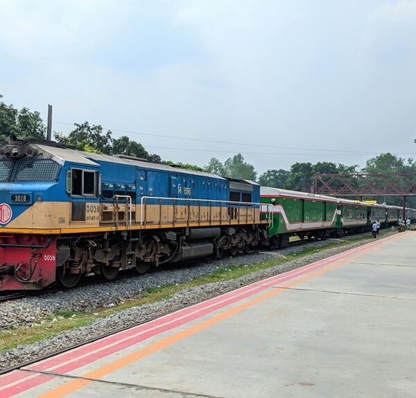 creative web network engine