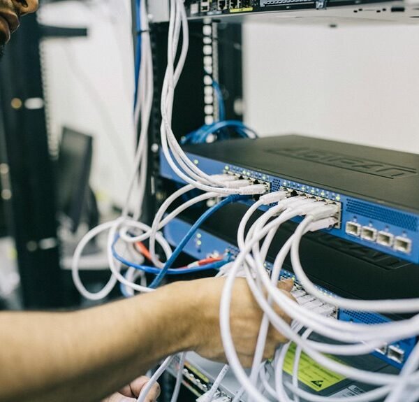 modern digital network web engine